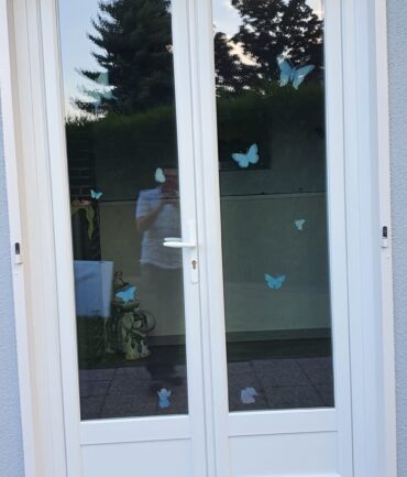 Rénovation APIS Alsace x003